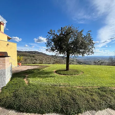Vista Paradiso *