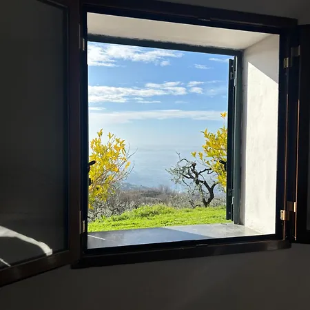 Vista Paradiso *